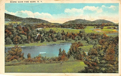 Scena vicino pine bush new - vicino, a
