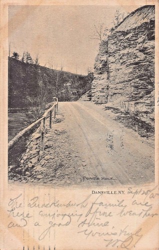Dansville new york poags hole - poags,