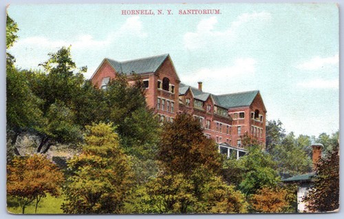 Cartolina hornell new - cartolina,